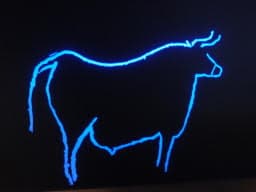 Prehistoric Rock Art in Coa Valley