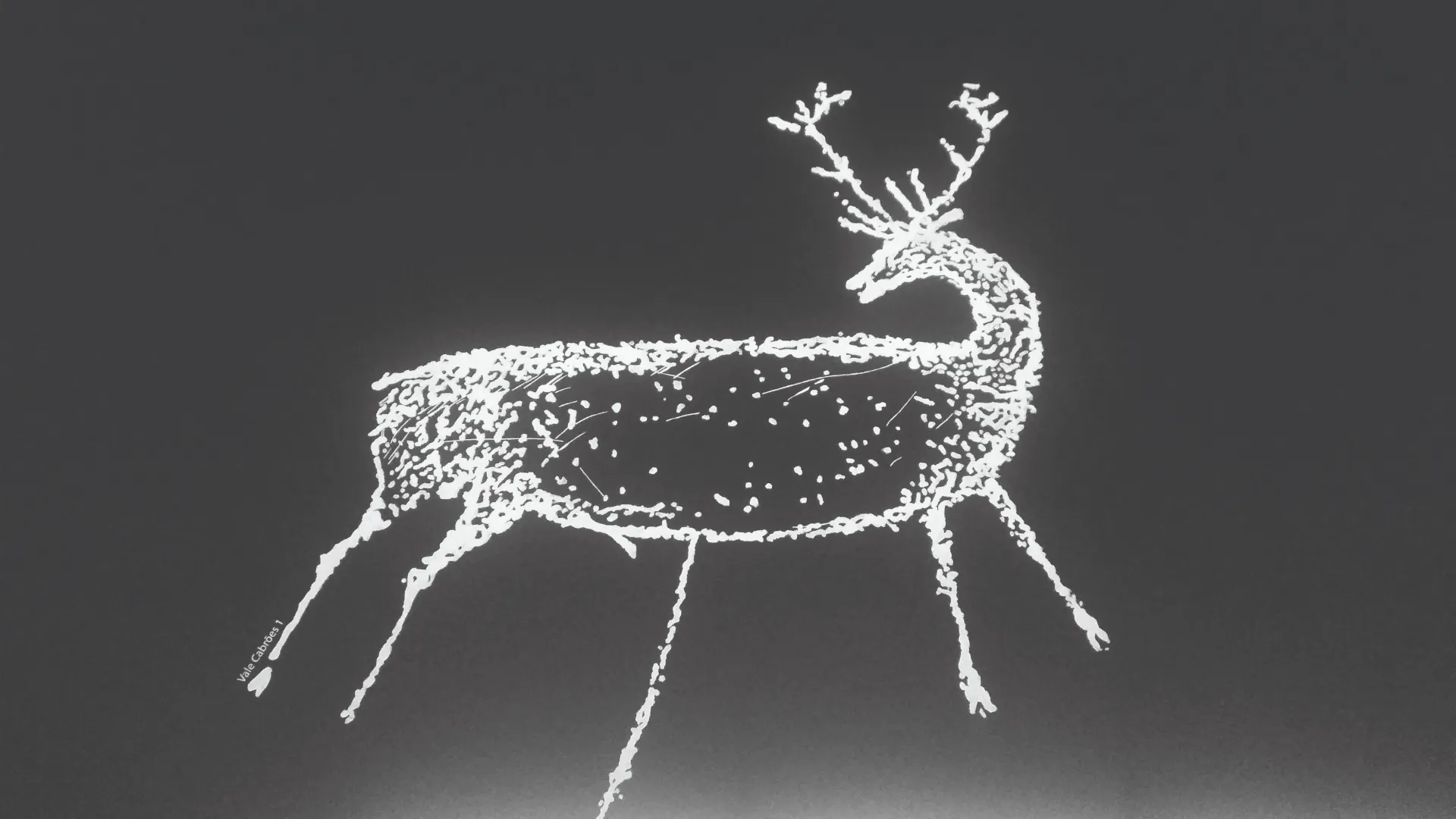 Day 3 Barca d’ Alva – Foz do Coa 11.27 miles 18.14 Km