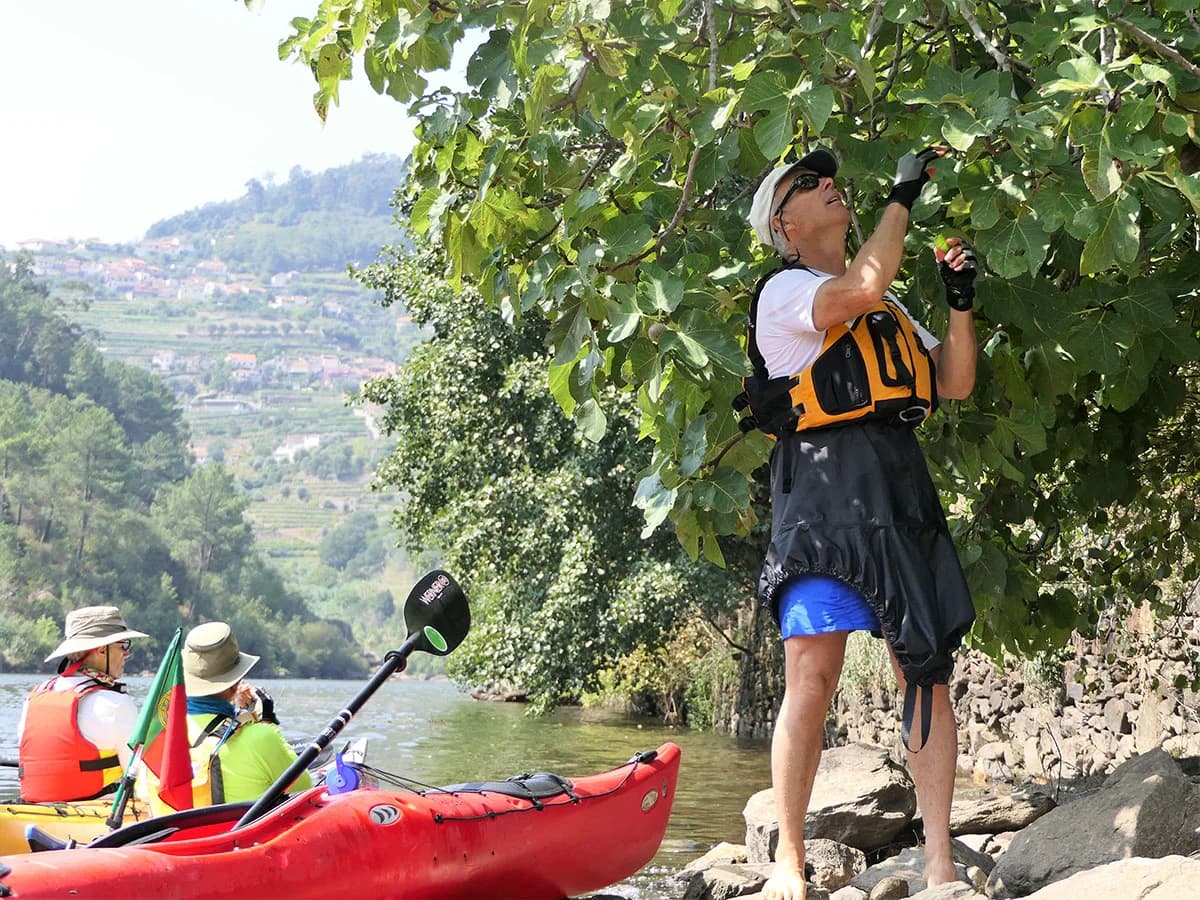 Day 8 – Porto Antigo - Espadanedo- Entre os Rios 13.7 Miles 22 Km